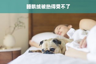 睡鹅绒被热得受不了