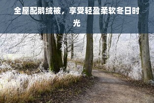 全屋配鹅绒被，享受轻盈柔软冬日时光