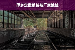 萍乡定做鹅绒被厂家地址