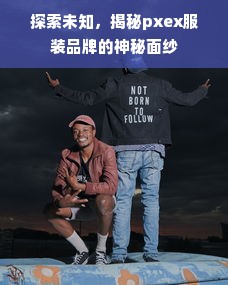 探索未知，揭秘pxex服装品牌的神秘面纱