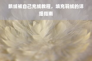 鹅绒被自己充绒教程，填充羽绒的详细指南