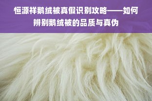 恒源祥鹅绒被真假识别攻略——如何辨别鹅绒被的品质与真伪