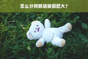 怎么分辨鹅绒被很肥大？