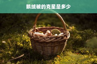 鹅绒被的克星是多少