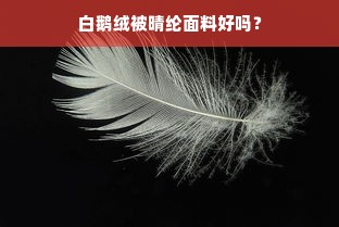 白鹅绒被晴纶面料好吗？