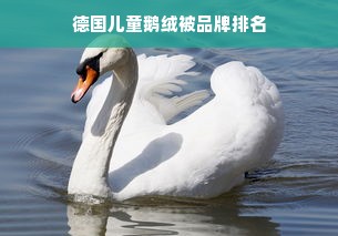 德国儿童鹅绒被品牌排名