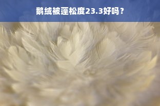 鹅绒被蓬松度23.3好吗？