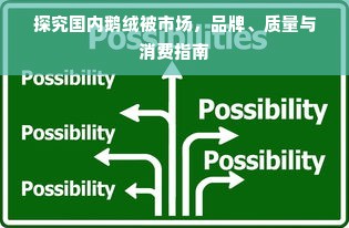 探究国内鹅绒被市场，品牌、质量与消费指南