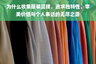 为什么收集服装品牌，追求独特性、审美价值与个人表达的无尽之源