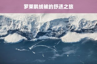 罗莱鹅绒被的舒适之旅