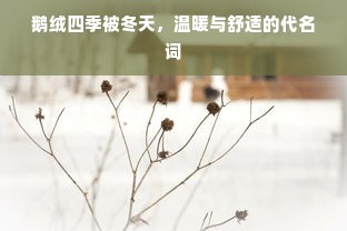 鹅绒四季被冬天，温暖与舒适的代名词