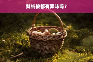 鹅绒被都有异味吗？