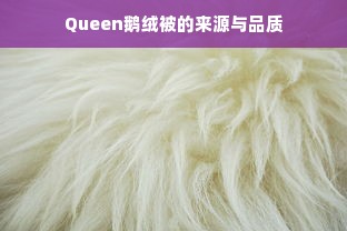 Queen鹅绒被的来源与品质