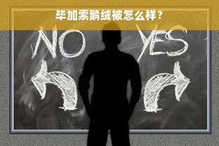 乐优家尊耀摩卡鹅绒被，品质与舒适的完美结合