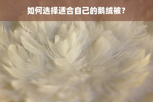 澳洲宜家鹅绒被品牌深度解析