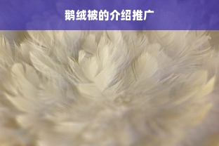 鹅绒被的介绍推广