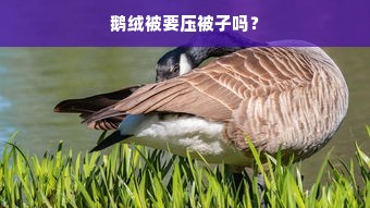 海信广场，探索时尚前沿，品味非凡潮流