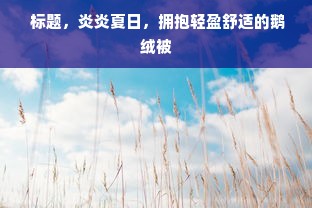  标题，炎炎夏日，拥抱轻盈舒适的鹅绒被