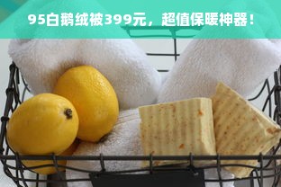 95白鹅绒被399元，超值保暖神器！