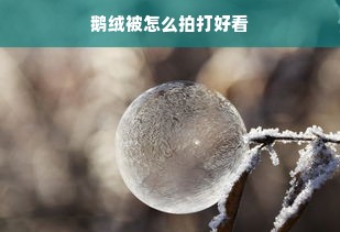 鹅绒被怎么拍打好看