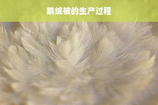 长春山姆鹅绒被专卖店，品质睡眠的守护者