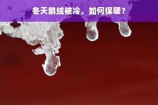 冬天鹅绒被冷，如何保暖？