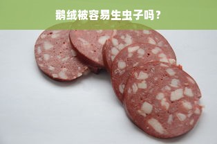 鹅绒被容易生虫子吗？