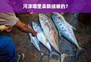 河津哪里卖鹅绒被的？