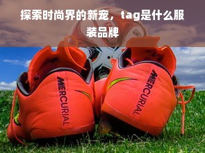 探索时尚界的新宠，tag是什么服装品牌