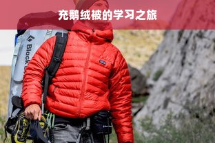 充鹅绒被的学习之旅