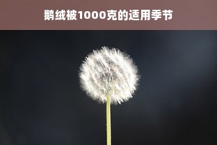 鹅绒被1000克的适用季节