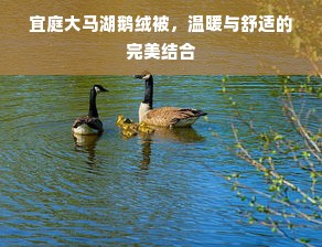 宜庭大马湖鹅绒被，温暖与舒适的完美结合