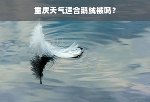 重庆天气适合鹅绒被吗？