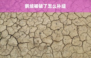 鹅绒被破了怎么补缝