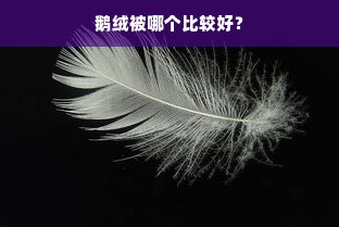 鹅绒被哪个比较好？