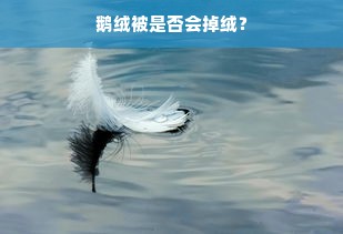 鹅绒被是否会掉绒？