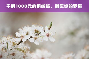 不到1000元的鹅绒被，温暖你的梦境