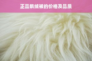 正品鹅绒被的价格及品质