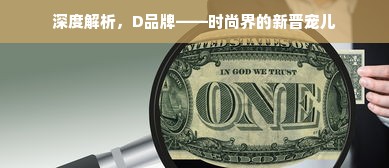 深度解析，D品牌——时尚界的新晋宠儿