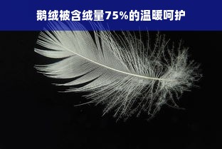 鹅绒被含绒量75%的温暖呵护