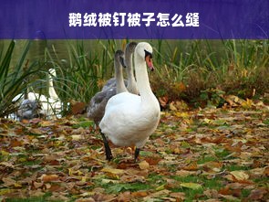 鹅绒被钉被子怎么缝