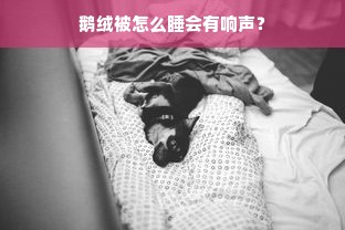 鹅绒被怎么睡会有响声？