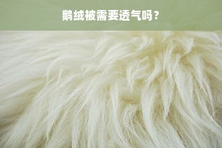 鹅绒被需要透气吗？