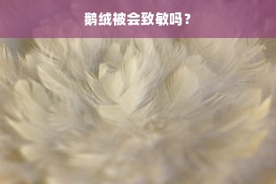 鹅绒被会致敏吗？