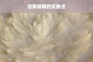 仿鹅绒被的优缺点