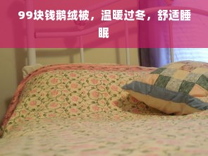 99块钱鹅绒被，温暖过冬，舒适睡眠