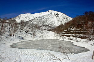 雪谷鹅绒被价格及图片