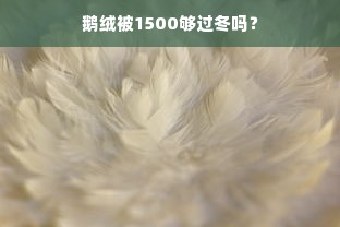 鹅绒被1500够过冬吗？