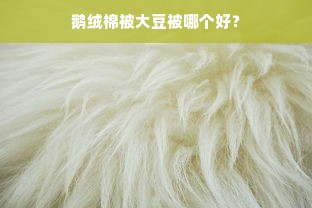 鹅绒棉被大豆被哪个好？