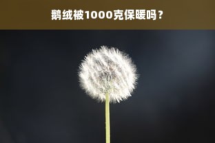 鹅绒被1000克保暖吗？